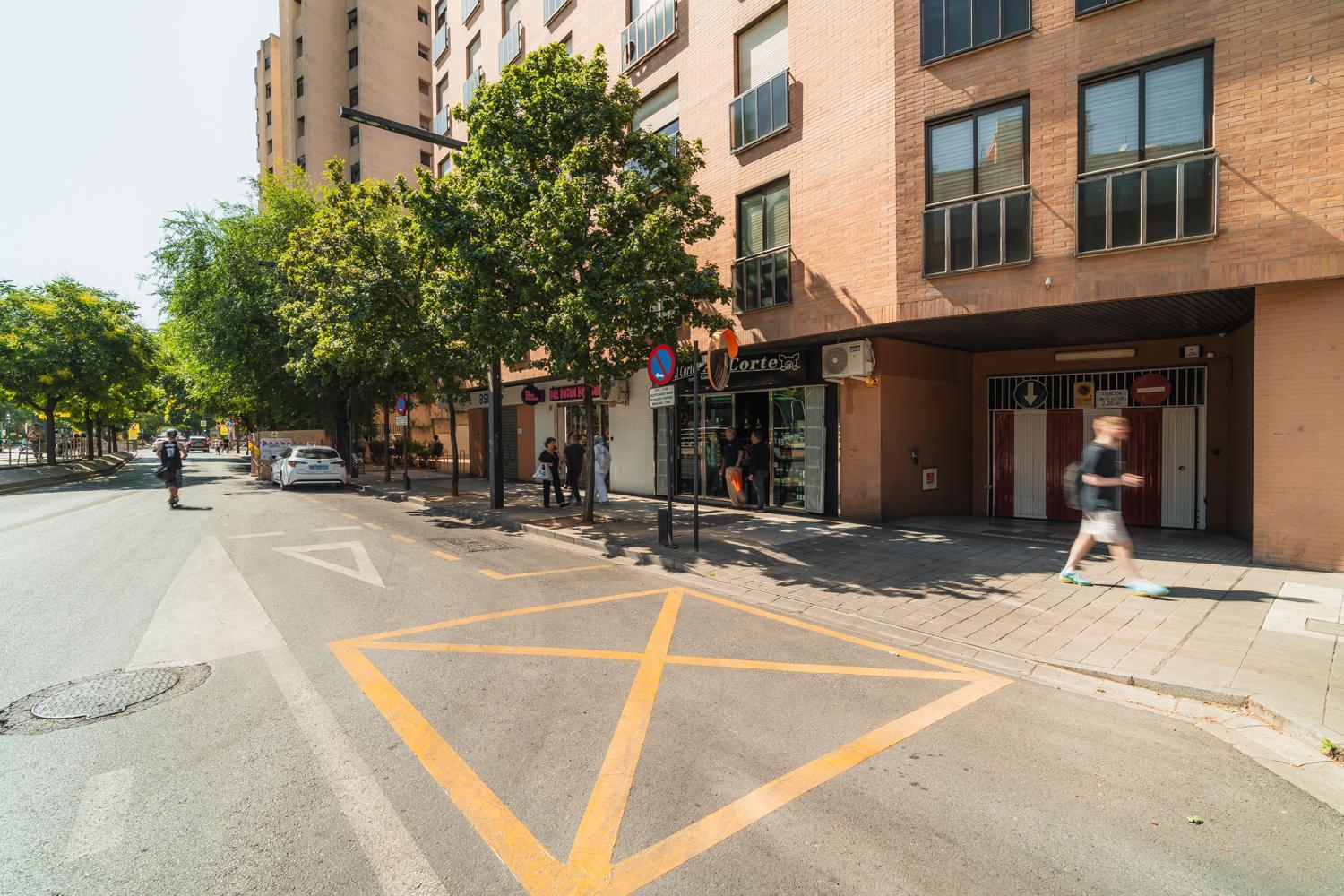 Constitucion Apartment - Free Parking Гранада Екстериор снимка